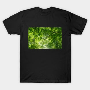 Green Tree Canopy T-Shirt